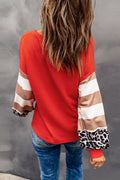 Striped and Leopard Print Color Block V Neck Long Sleeve Top